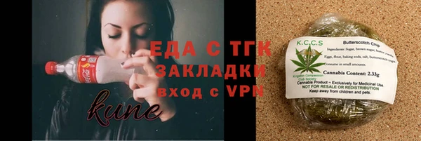 индика Козельск