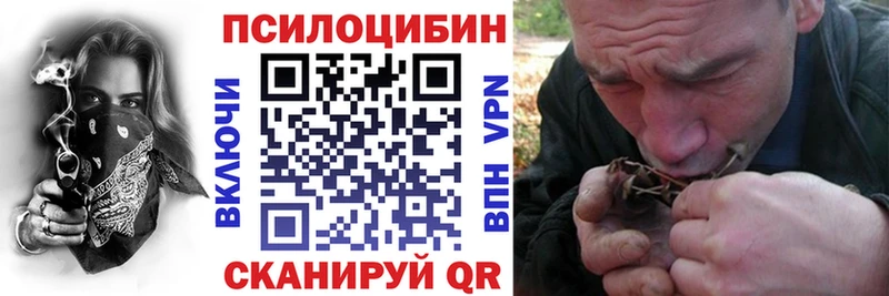blacksprut tor  Сухиничи  Псилоцибиновые грибы прущие грибы 